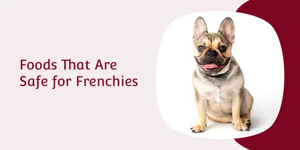 Foods That Are Safe for Frenchies Francoeur Frenchies